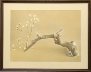 773.「白木蓮」57×76.jpg