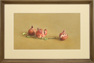 775.「柘榴」30.5×54.5.jpg