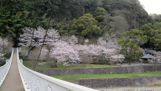 IMG_2519(橋・右).bmp