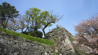 IMG_2792-城壁.jpg