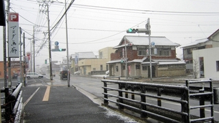 IMG_2891.jpg