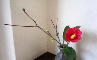 IMG_2902.jpg