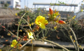 IMG_2945.jpg