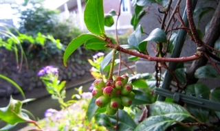 IMG_3165.jpg