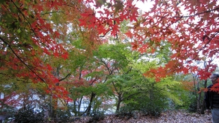 IMG_3185.jpg