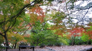 IMG_3192.jpg