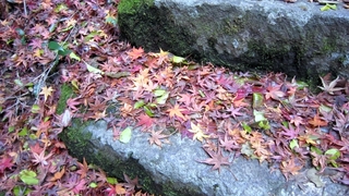 IMG_3200.jpg