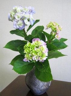 IMG_3341.jpg