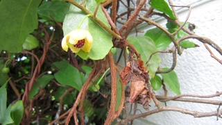 IMG_3363.jpg