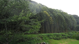 IMG_3372.JPG