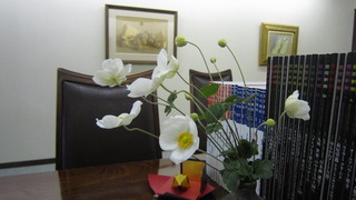 IMG_3641.JPG