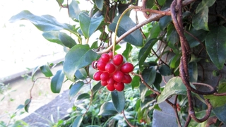 IMG_3647.jpg