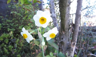 IMG_3673.jpg